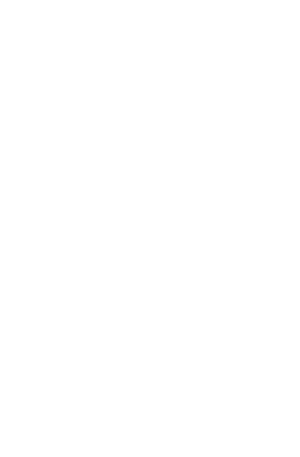 Number One logo